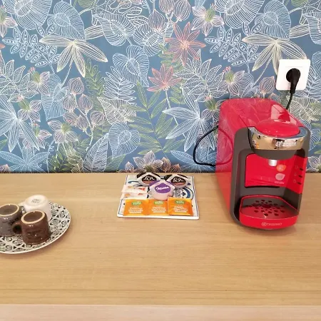 Superbe T3 Avec Parking Et Terrasse En Plein Centre-ville * 卢德