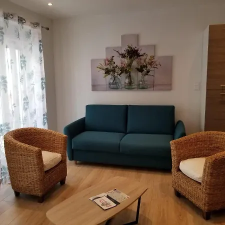 Superbe T3 Avec Parking Et Terrasse En Plein Centre-ville Apartamento Lourdes