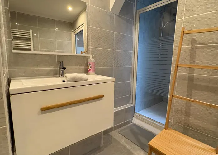 Superbe T3 Avec Parking Et Terrasse En Plein Centre-ville * Lourdes